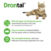 Drontal Cat Tablets | Broad-Spectrum Wormer 2 Pack