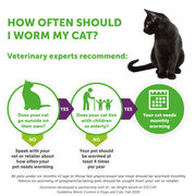 Drontal Cat Tablets | Broad-Spectrum Wormer 2 Pack