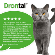 Drontal Cat Tablets | Broad-Spectrum Wormer 2 Pack