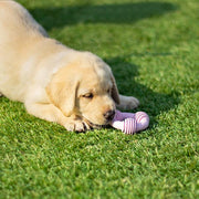 Rosewood Cyber Puppy Teether Shapes Dog Toy (Assorted)