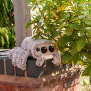 Ancol Cuddle Sid Spider Dog Toy