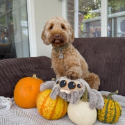 Ancol Cuddle Sid Spider Dog Toy