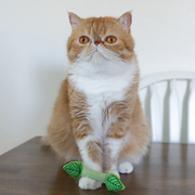 Rosewood Catstages Fresh Breath Mint Cat Toy