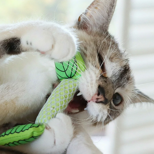 Rosewood Catstages Fresh Breath Mint Cat Toy