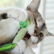 Rosewood Catstages Fresh Breath Mint Cat Toy