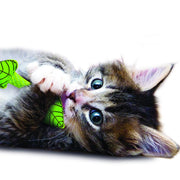 Rosewood Catstages Fresh Breath Mint Cat Toy