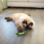 Rosewood Catstages Fresh Breath Mint Cat Toy