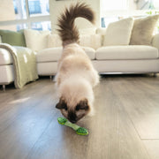 Rosewood Catstages Fresh Breath Mint Cat Toy