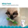 Rosewood Catstages Fresh Breath Mint Cat Toy