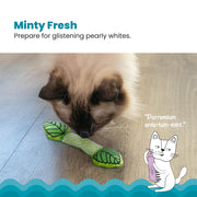 Rosewood Catstages Fresh Breath Mint Cat Toy