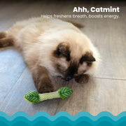 Rosewood Catstages Fresh Breath Mint Cat Toy