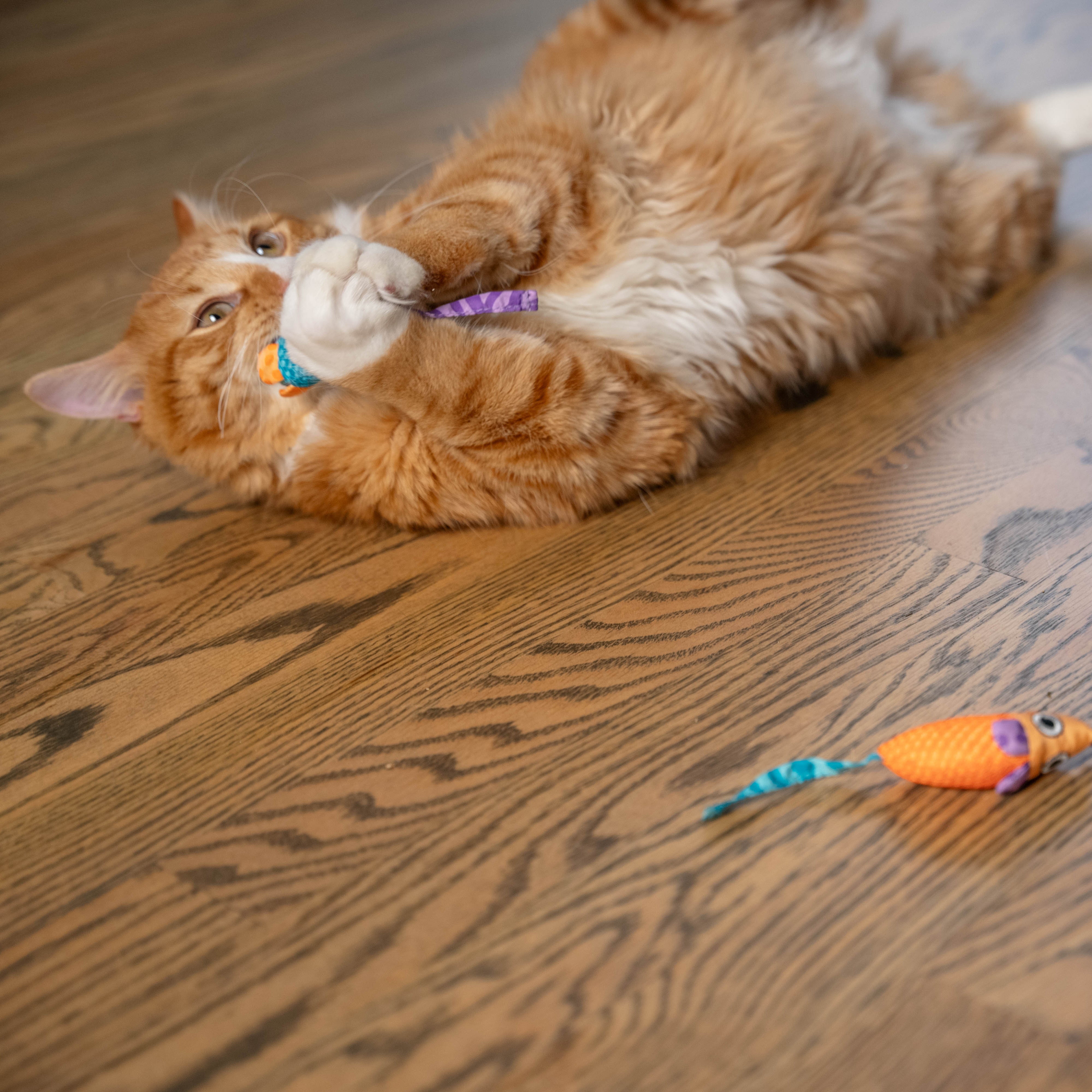 Rosewood Catstages Catnip Chew Mice Cat Toy