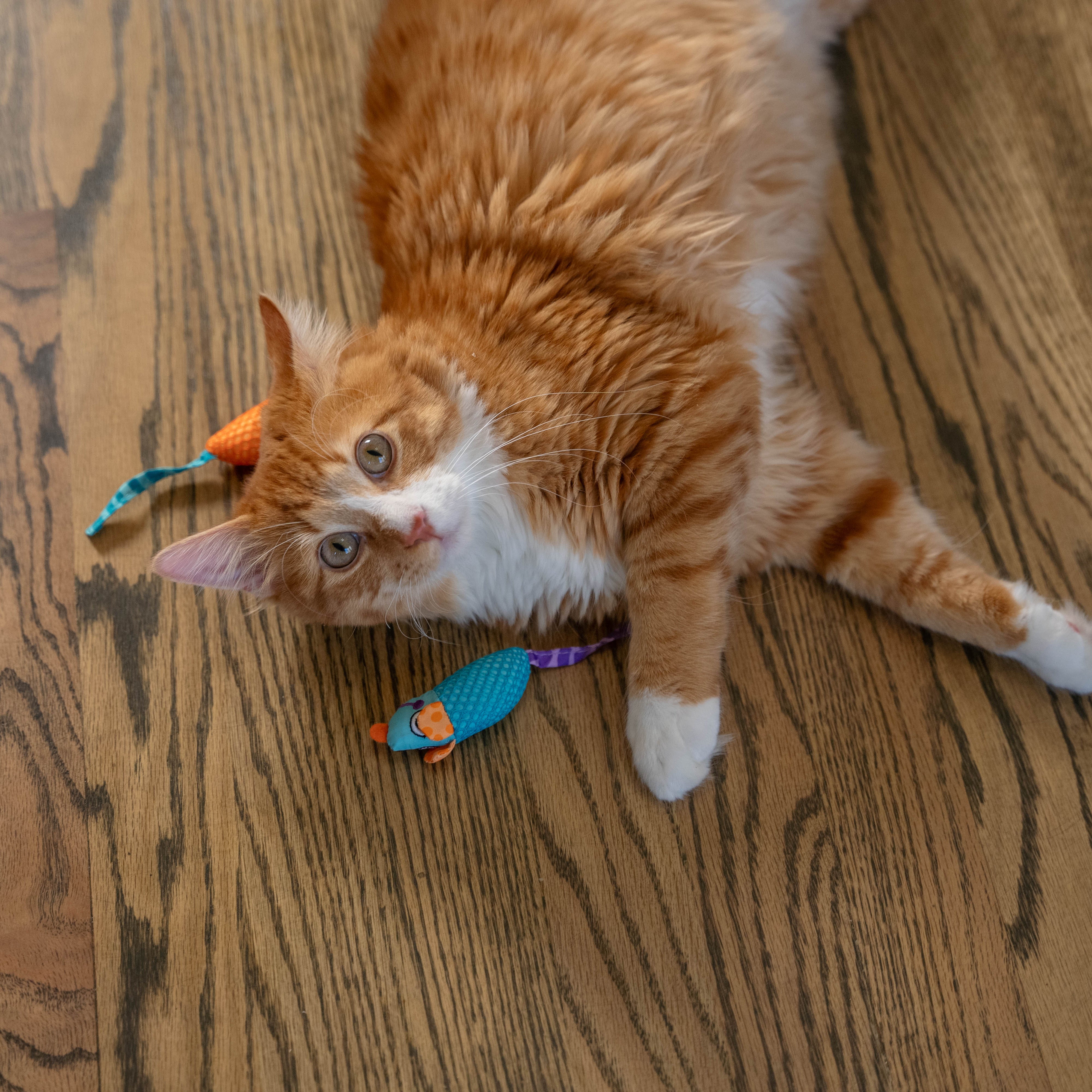 Rosewood Catstages Catnip Chew Mice Cat Toy