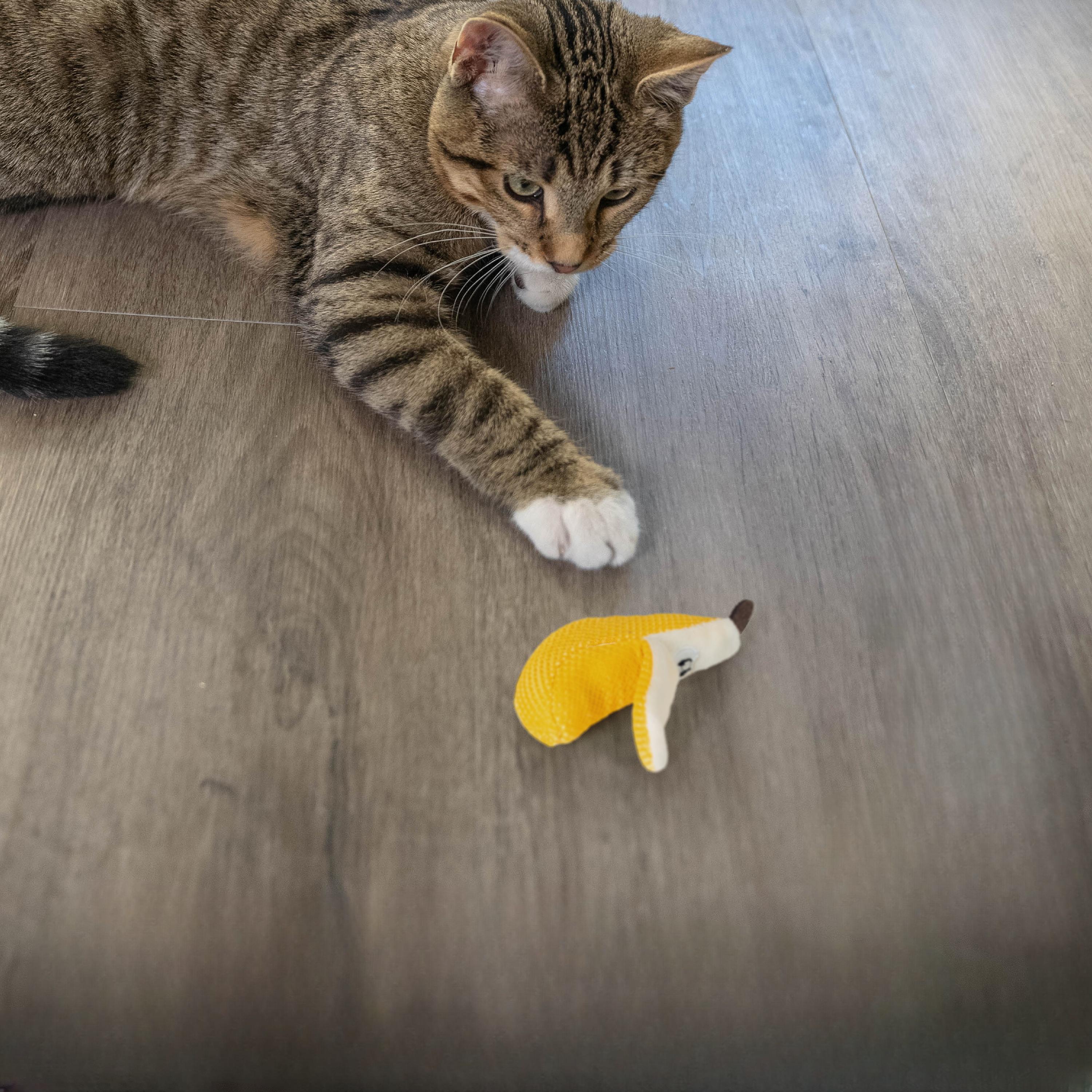 Rosewood Catstages Dental Banana Cat Toy