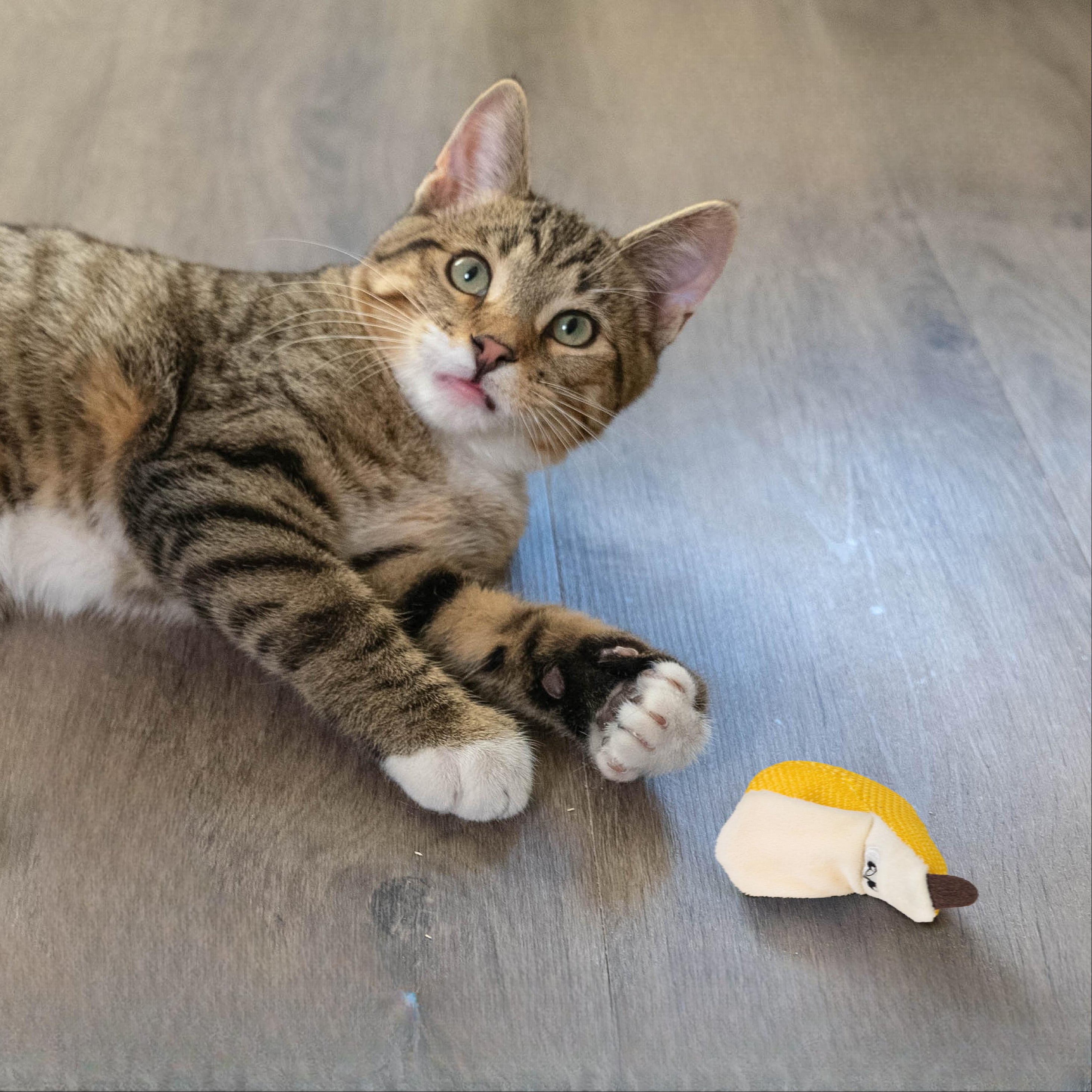 Rosewood Catstages Dental Banana Cat Toy
