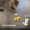 Rosewood Catstages Dental Banana Cat Toy