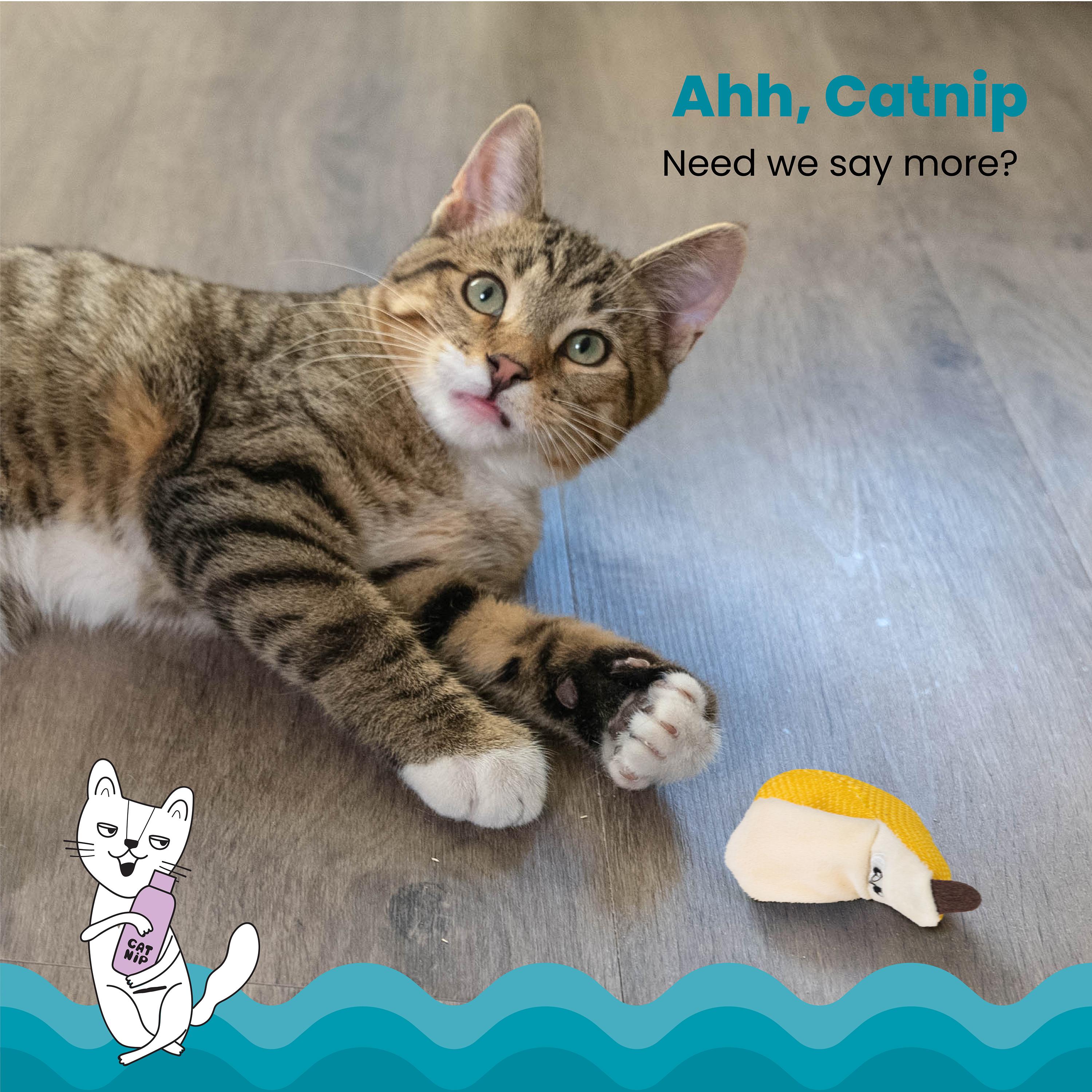 Rosewood Catstages Dental Banana Cat Toy