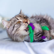 Rosewood Catstages Krazy Kale Cat Toy