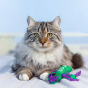 Rosewood Catstages Krazy Kale Cat Toy