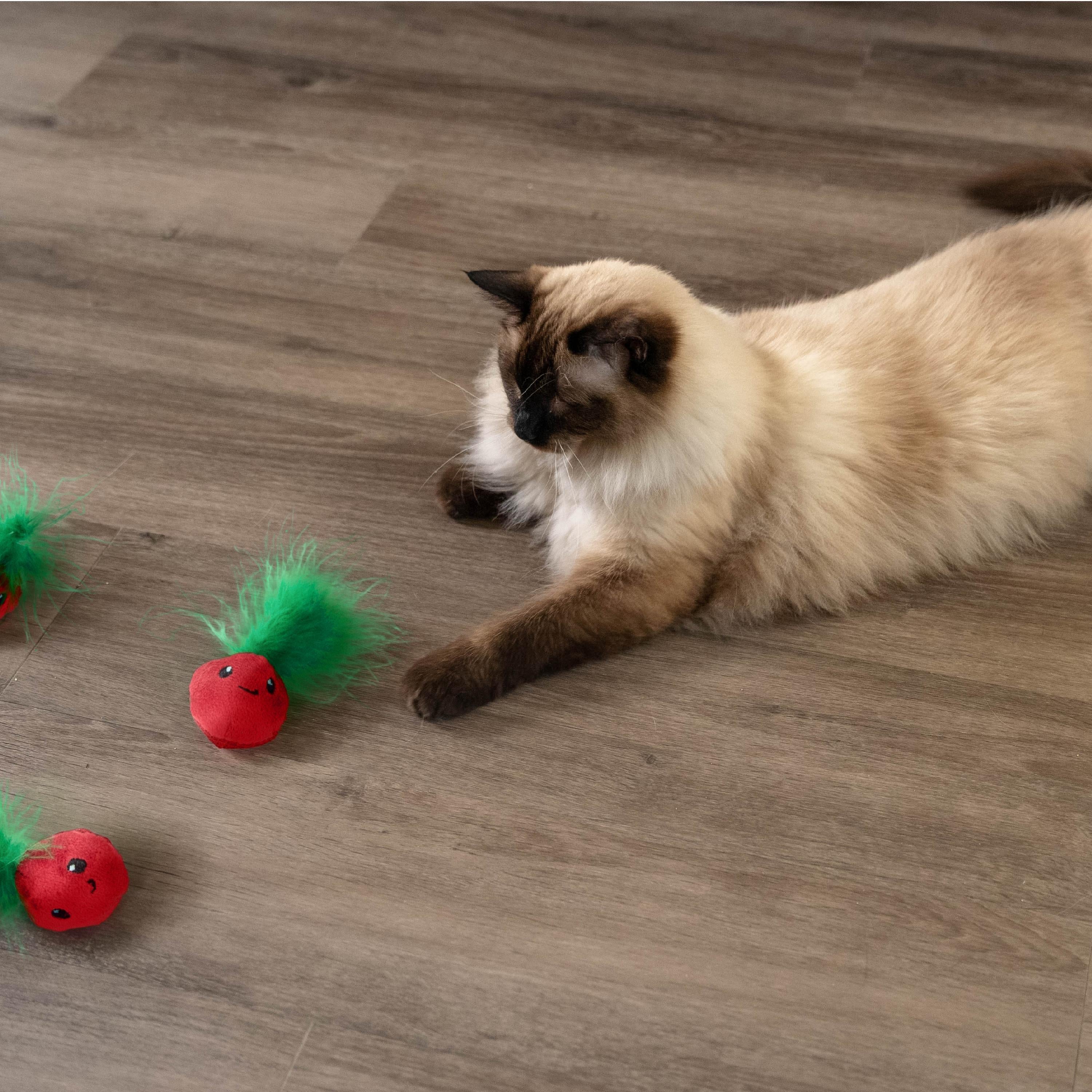 Rosewood Catstages Strawbabies 3 Pack Cat Toy