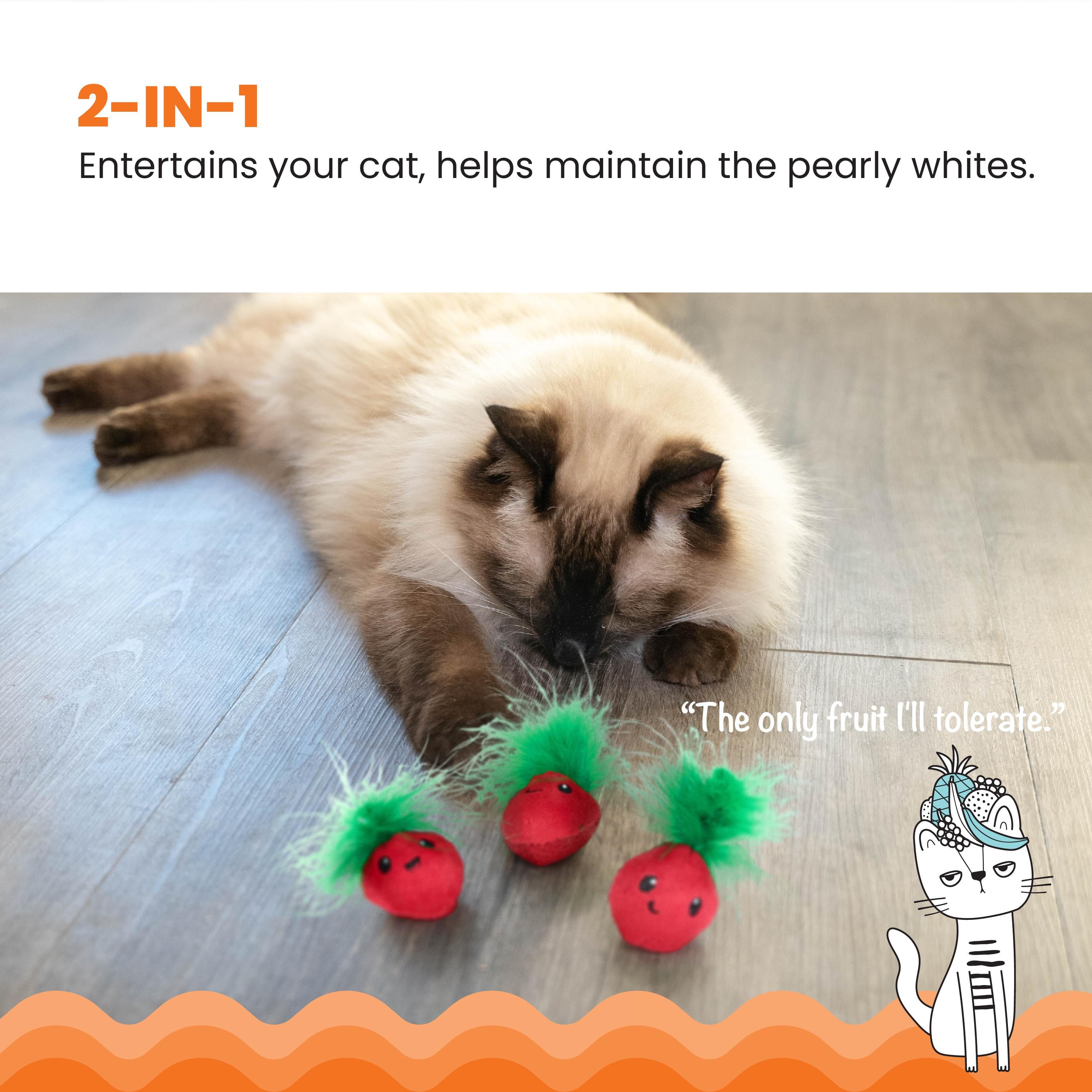 Rosewood Catstages Strawbabies 3 Pack Cat Toy