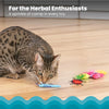 Rosewood Catstages Cute As A Bug 6 Pack Cat Toy