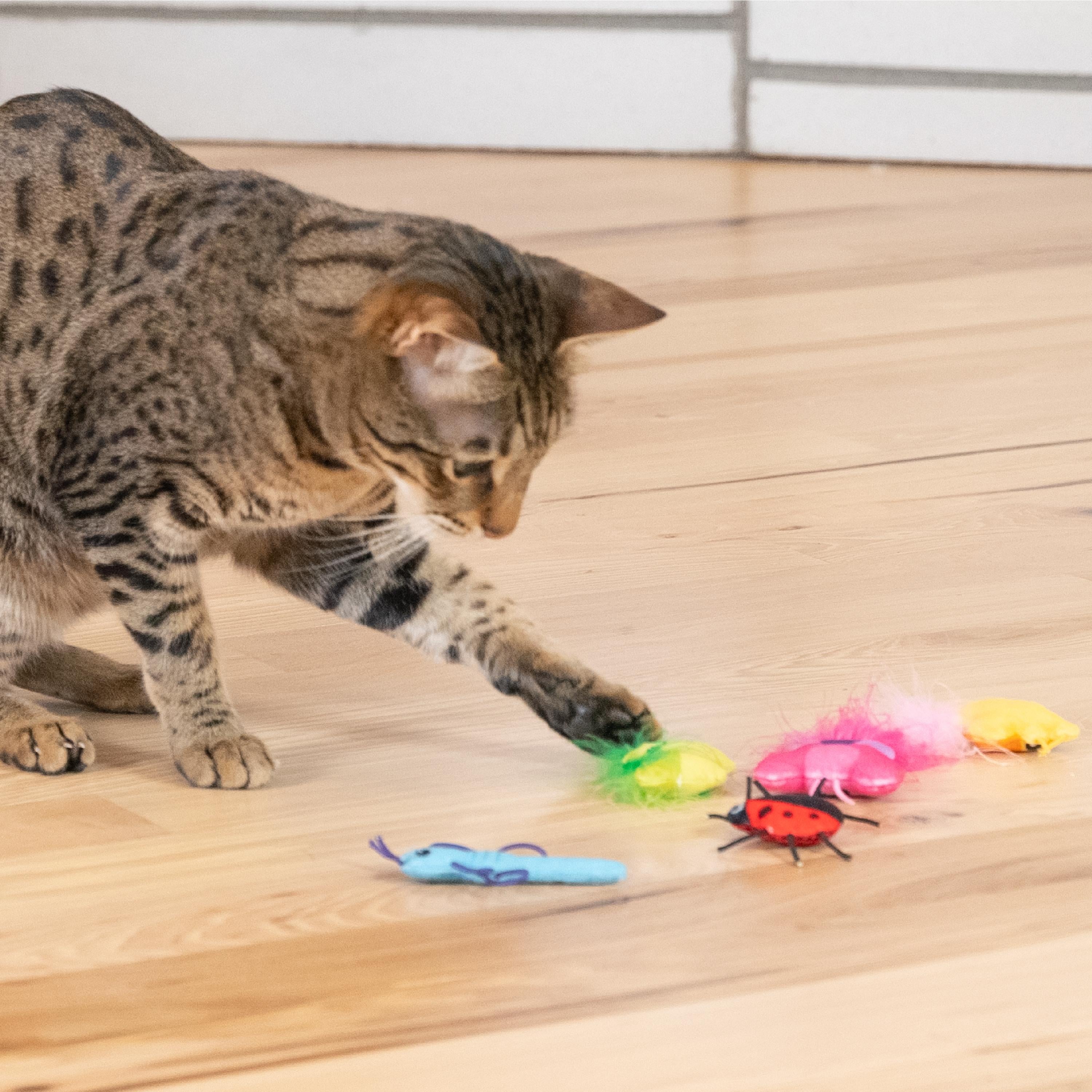 Rosewood Catstages Cute As A Bug 6 Pack Cat Toy