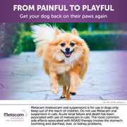Metacam Oral Suspension for Dogs
