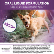 Metacam Oral Suspension for Dogs