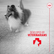ROYAL CANIN® Skin and Coat Soft Chews Supplements for Dogs
