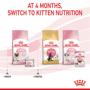 ROYAL CANIN® Feline Health Nutrition Mother and Babycat Cat Mousse