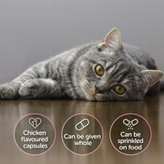 Protexin CystoPro for Dogs and Cats