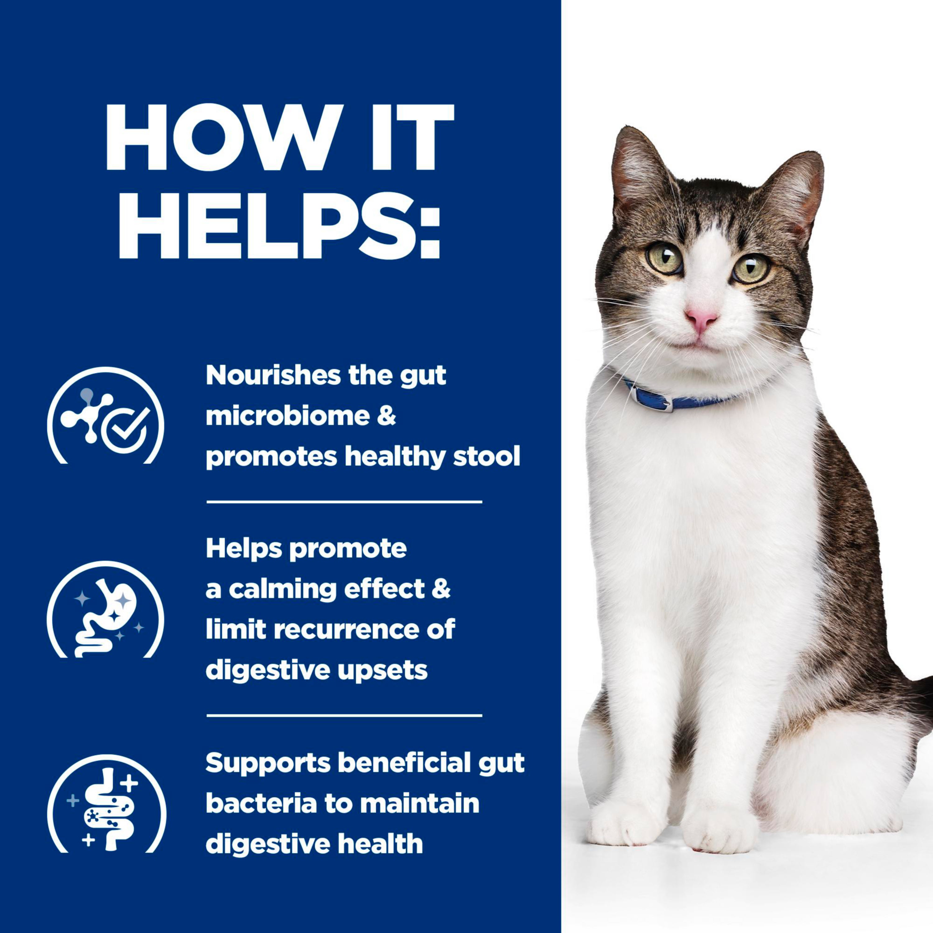 Hill's Gastrointestinal Biome Stress Dry Cat Food