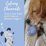 Nilaqua Calming Paw & Nose Balm