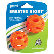 Chuckit! Breath Right Air Fetch Ball