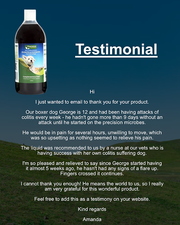 Precision Microbes Pro & Postbiotic for Dogs & Cats