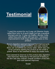 Precision Microbes Pro & Postbiotic for Dogs & Cats