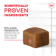 ROYAL CANIN® Digestion Soft Chews Supplements for Dogs