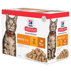 Hill's Science Plan Kitten Wet Food Chicken & Turkey Multipack