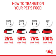 ROYAL CANIN® Feline Health Nutrition Mother and Babycat Cat Mousse