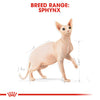 ROYAL CANIN® Sphynx Cat Adult Cat Food