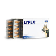 LYPEX® Pancreatic Enzyme Capsules for Dogs and Cats - 60 Capsules