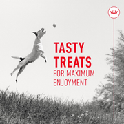 ROYAL CANIN® Training Treats for Dogs