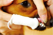 Petosan Oral Cleaner Fingerbrush Microfiber Cloth for Dogs