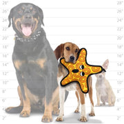 Tuffy Ocean Creatures Star Fish Dog Toy