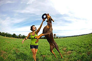 Chuckit! Zipflight