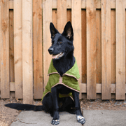 Henry Wag Refresh Dog Drying Coat