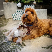 Rosewood Dasher Dino Festive Dinosaur Dog Toy