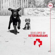 ROYAL CANIN® Immunity and Digestion Soft Chews Supplements for Puppies