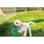 Rosewood BioSafe Germ Smart Puppy Ring 9cm